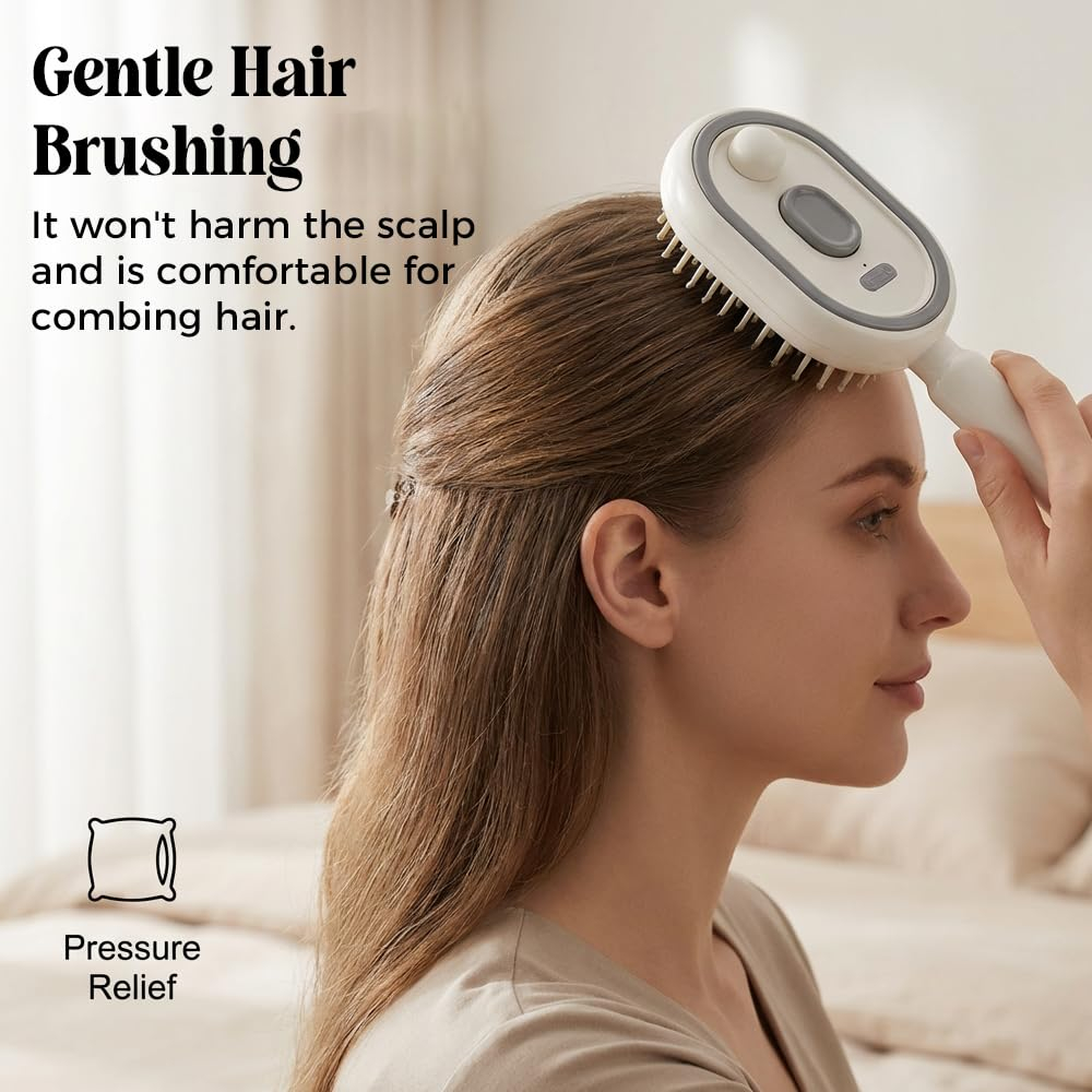 ホット電気スプレーヘアブラシ 2-in-1 ミストヘアブラシ - Hair Spa Wellness のレビューと価格